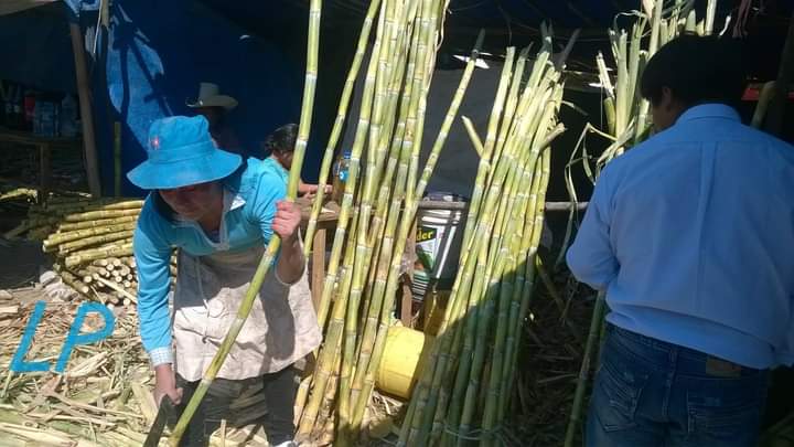 NO HABRÁ FERIA DE CAÑA Y MIEL POR FIESTA DEL HUANCHACO EN LOS BAÑOS DEL